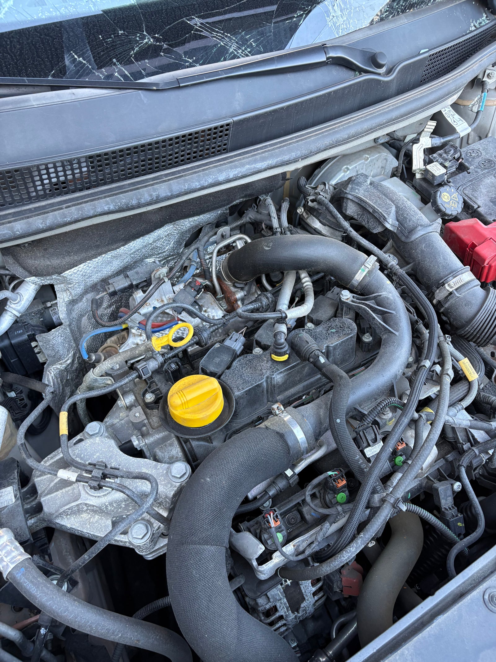 Sin título 25feb_21:14