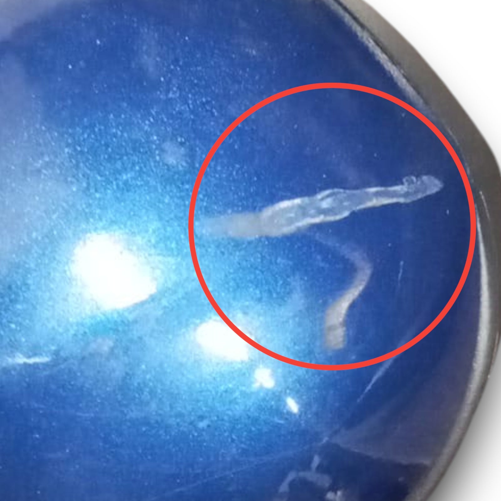 Ogledalo / ogledalo spredaj desno opel zafira a koda e1146r-015736 (1999 > 2005)