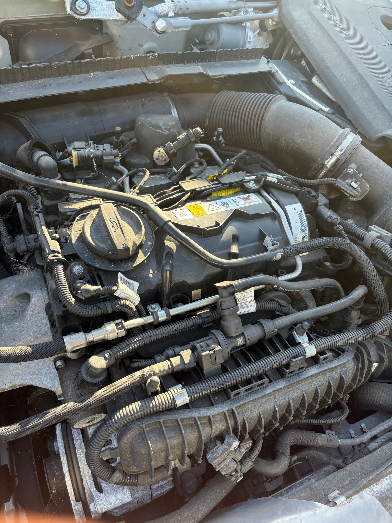 Sin título 25feb_21:27