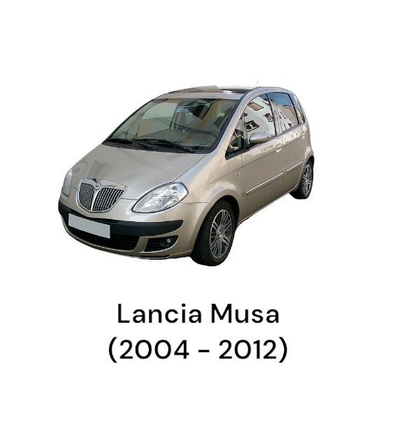 Airbag a tendina sinistro Lancia musa / Fiat idea (2004 - 2012) cod.46844795 - F&P CRASH SRLS - Ricambi Usati