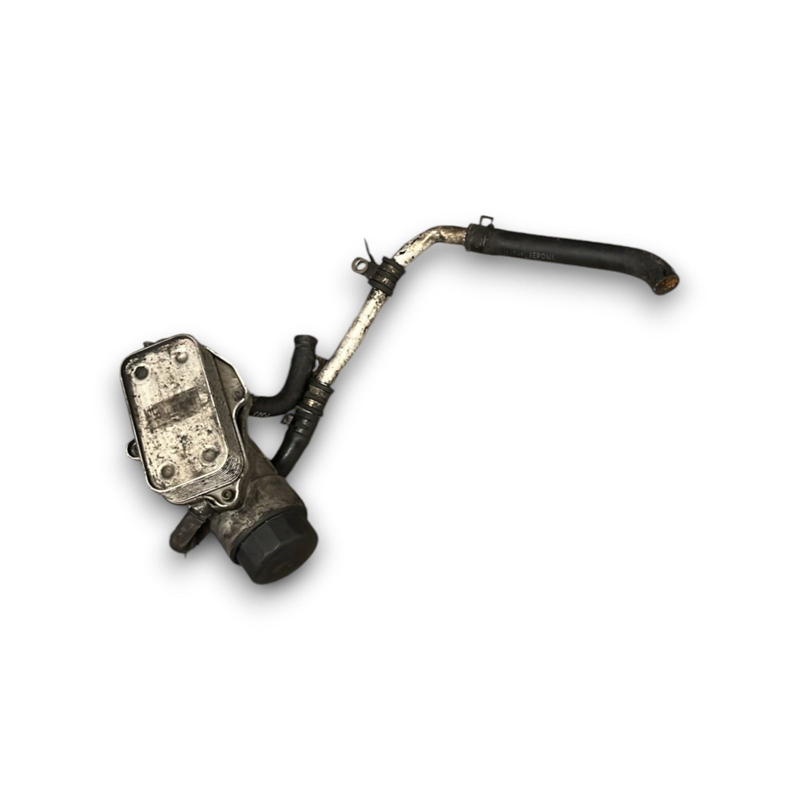 Alloggiamento Filtro Olio Ssangyong Kyron cod:A6641840302 2.0 Diesel (2005 > 2014) - F&P CRASH SRLS - Ricambi Usati