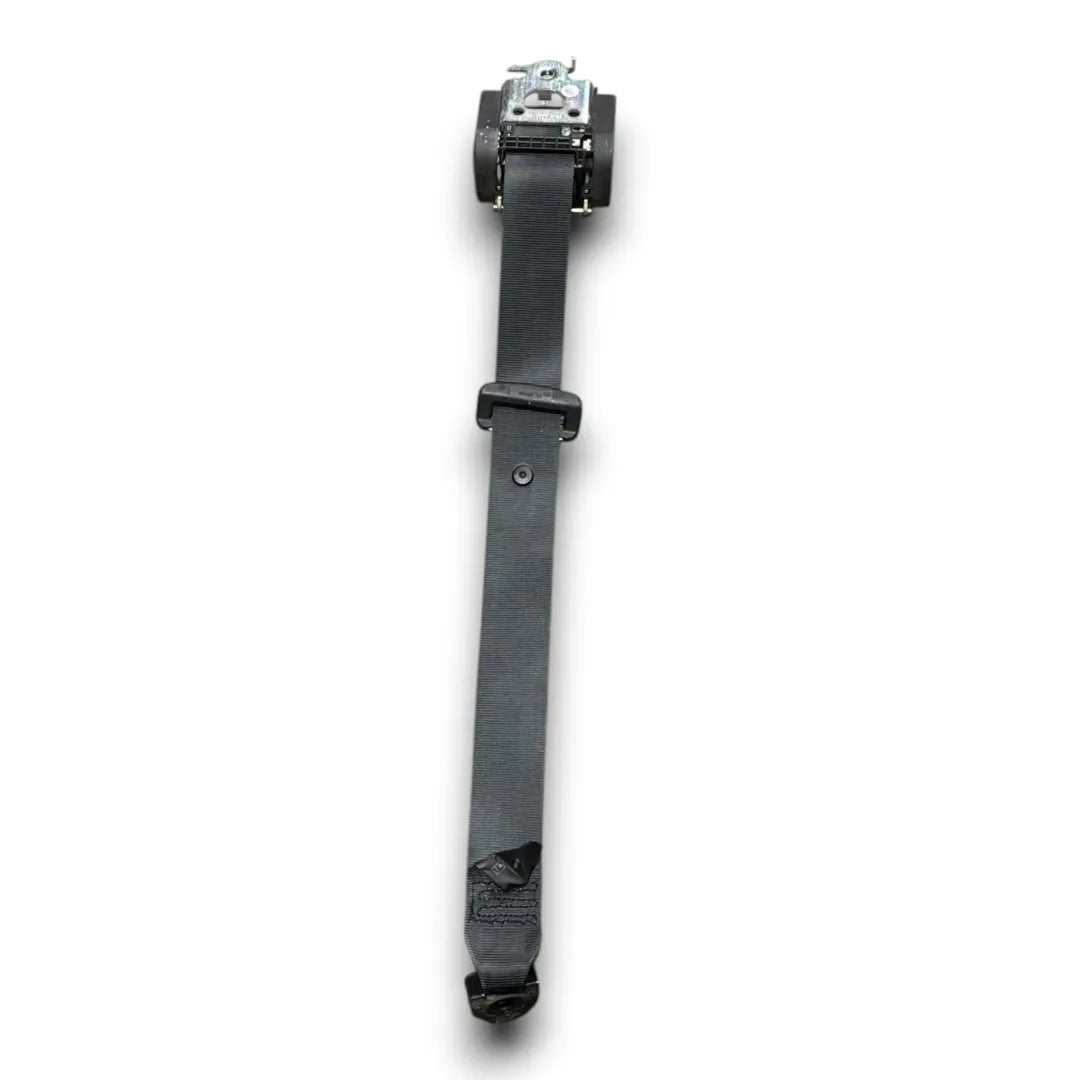 Dettaglio Cintura di sicurezza posteriore sinistra Renault Scenic 3ª Serie 2009–2013 OEM 888410017R - foto 2
