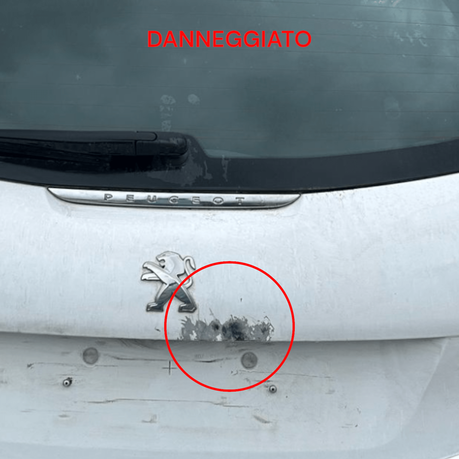 Cofano / Bagagliaio / Portellone Posteriore Bianco Peugeot 208 (2012 > 2019) - F&P CRASH SRLS - Ricambi Usati