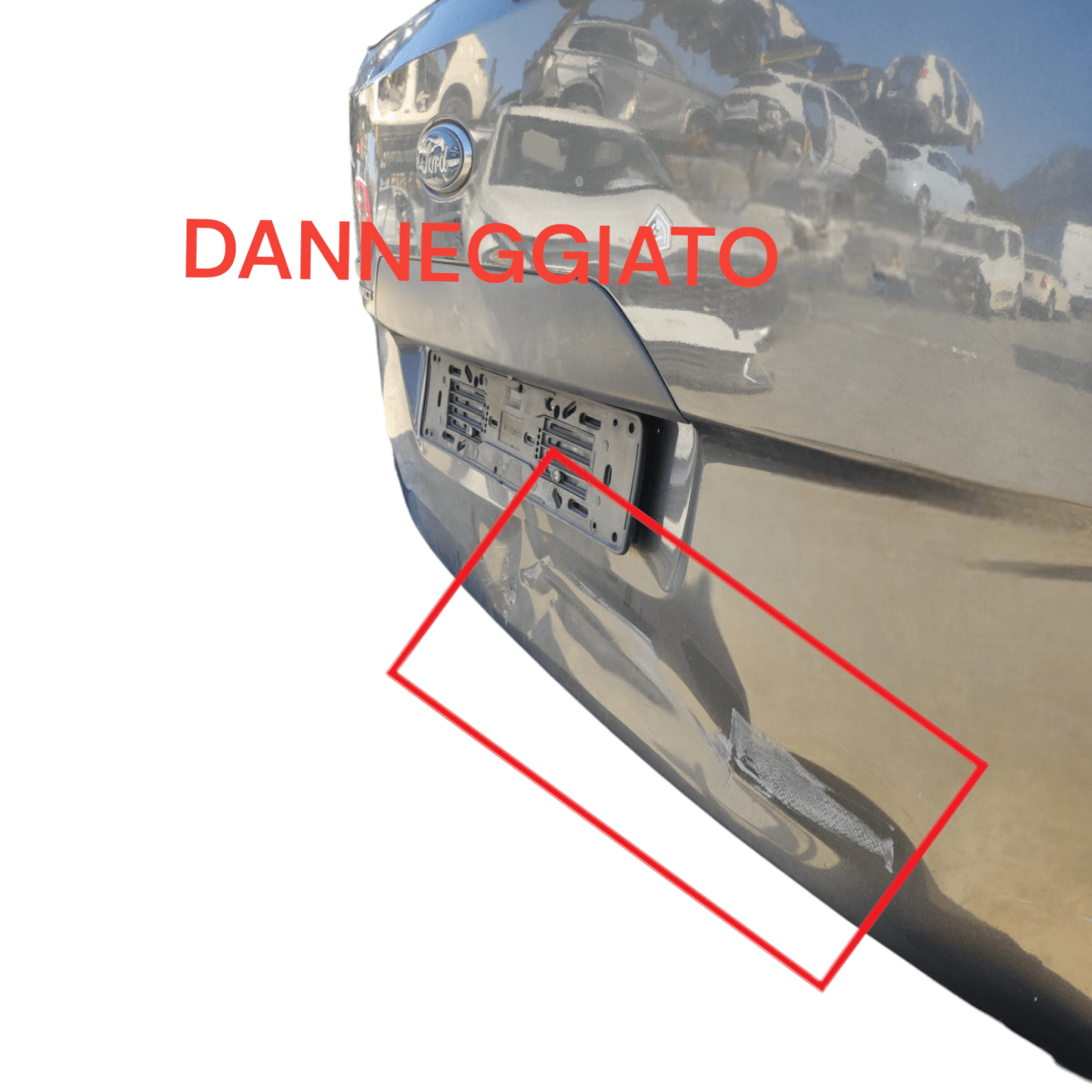 Cofano / portellone bagagliaio ford tourneo connect (2013 - 2021) - F&P CRASH SRLS - Ricambi Usati