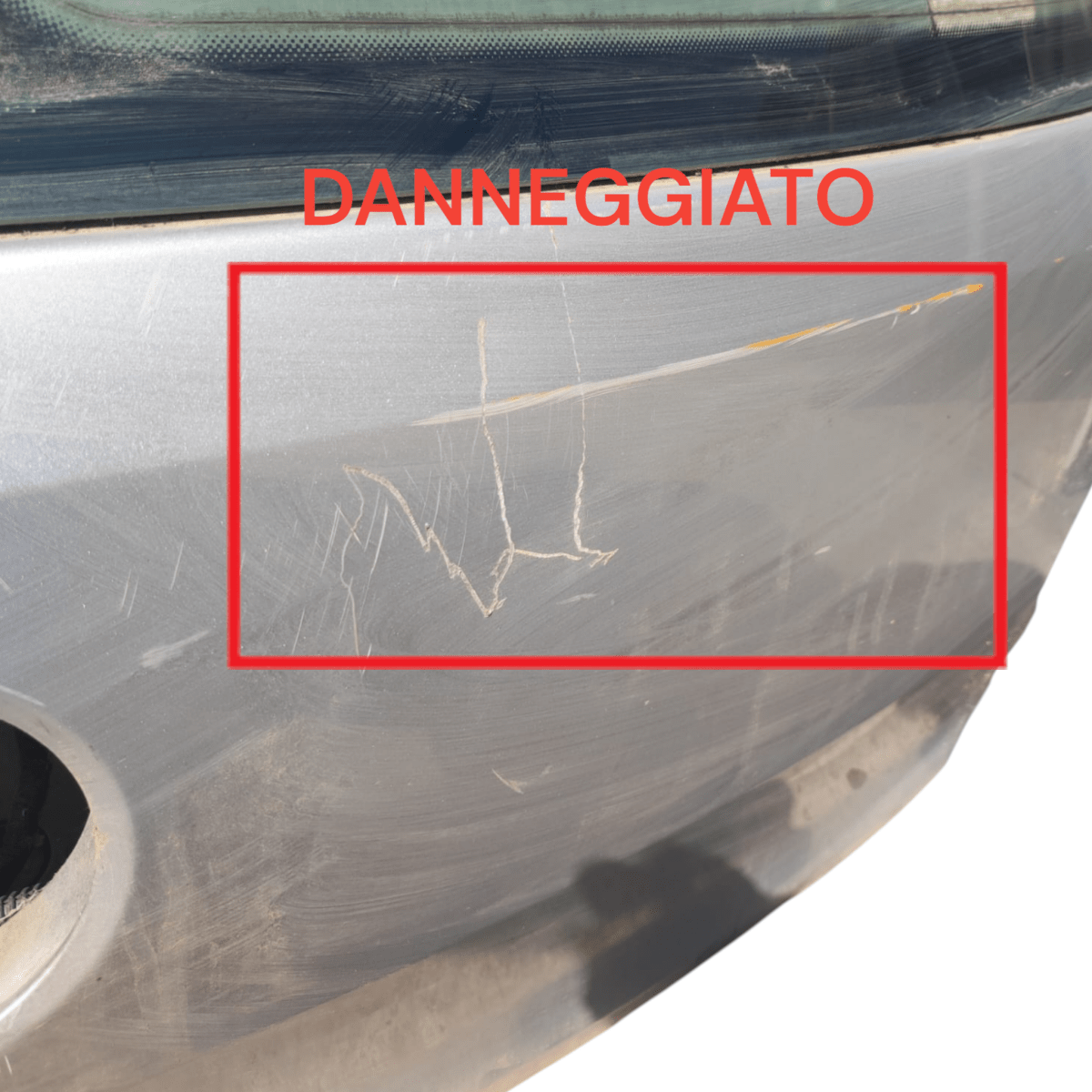 Cofano / portellone bagagliaio volkswagen polo 6r (2009 - 2017) - F&P CRASH SRLS - Ricambi Usati