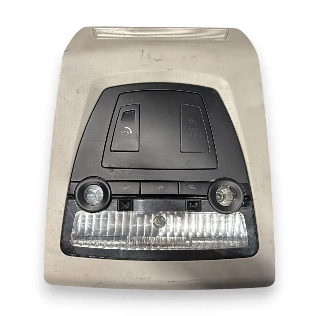 Luce cortesia anteriore tetto BMW X3 F25 OEM 61319276229