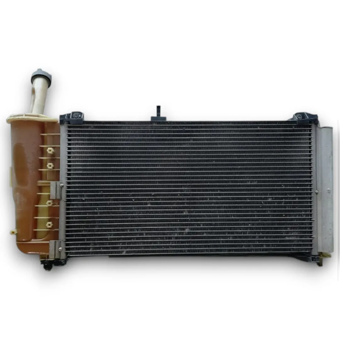 Dettaglio Radiatore Fiat Punto Classic 2007–2011 OEM 51724188 - foto 2