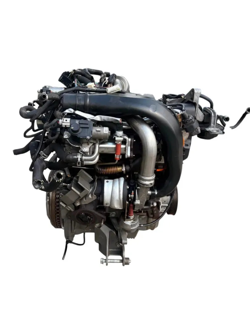 Dettaglio Motore completo Nissan Qashqai J10E/JJ10E cod. motore K9K - foto 2