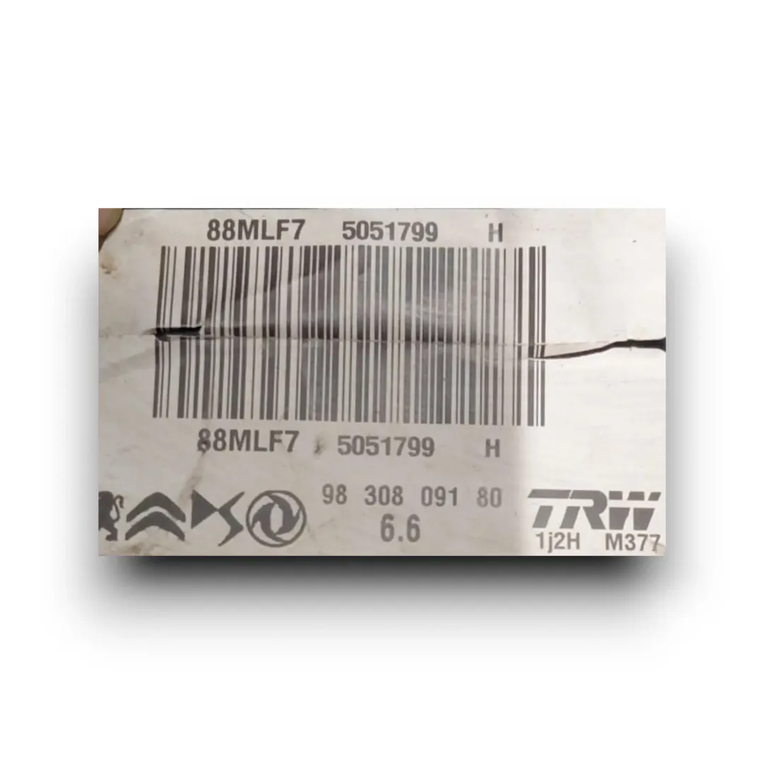 Dettaglio Servofreno posteriore Peugeot 208 OEM 1609895680 - foto 3