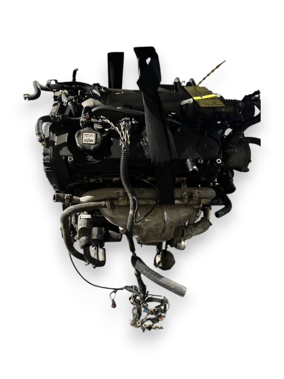 Motore Fiat Stilo ( 2006 ) 1.9 Diesel 84kw 115cv cod : 192A1000 - F&P CRASH SRLS - Ricambi Usati