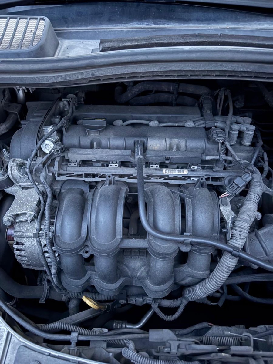 Motore Ford C - max (2015) 1.6 Diesel 77kw 105 cv cod: IQDB - F&P CRASH SRL - Ricambi Usati