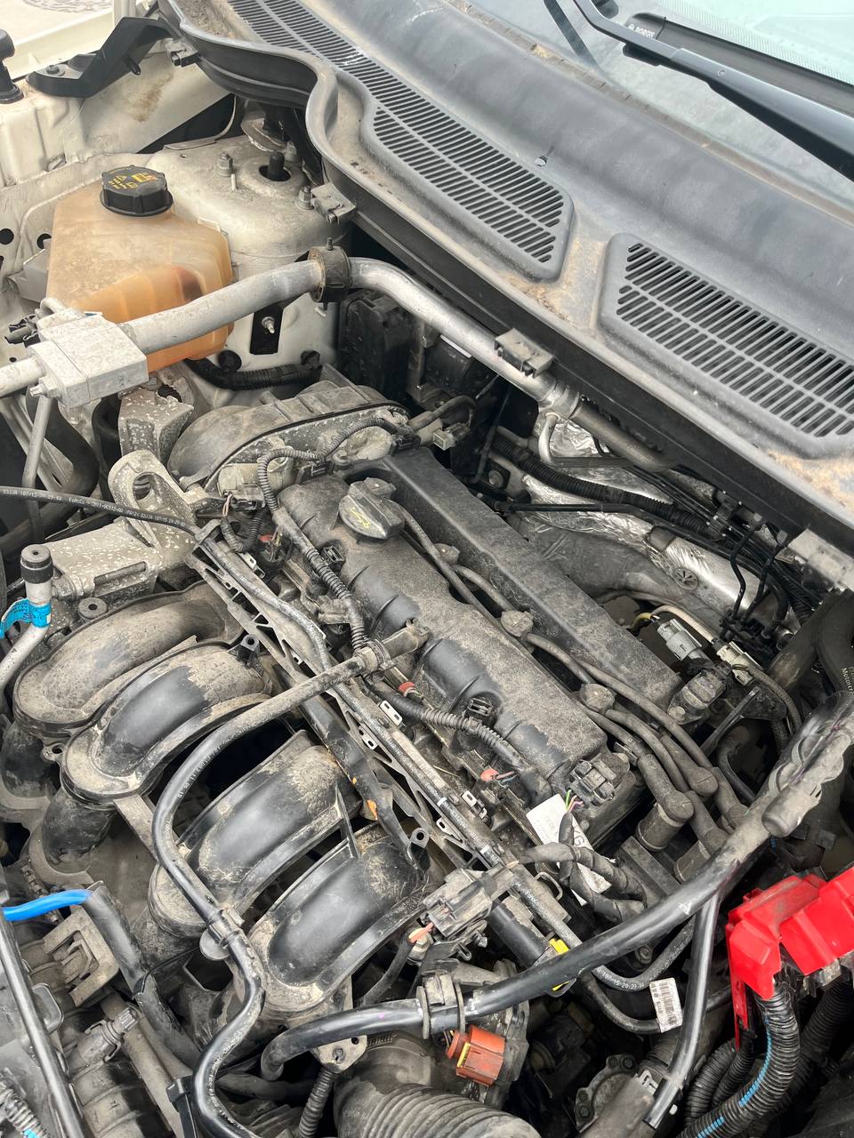 Motore Ford Ecosport ( 2018 ) 1.5 Benzina 82kw 110cv cod : UEJB - F&P CRASH SRLS - Ricambi Usati