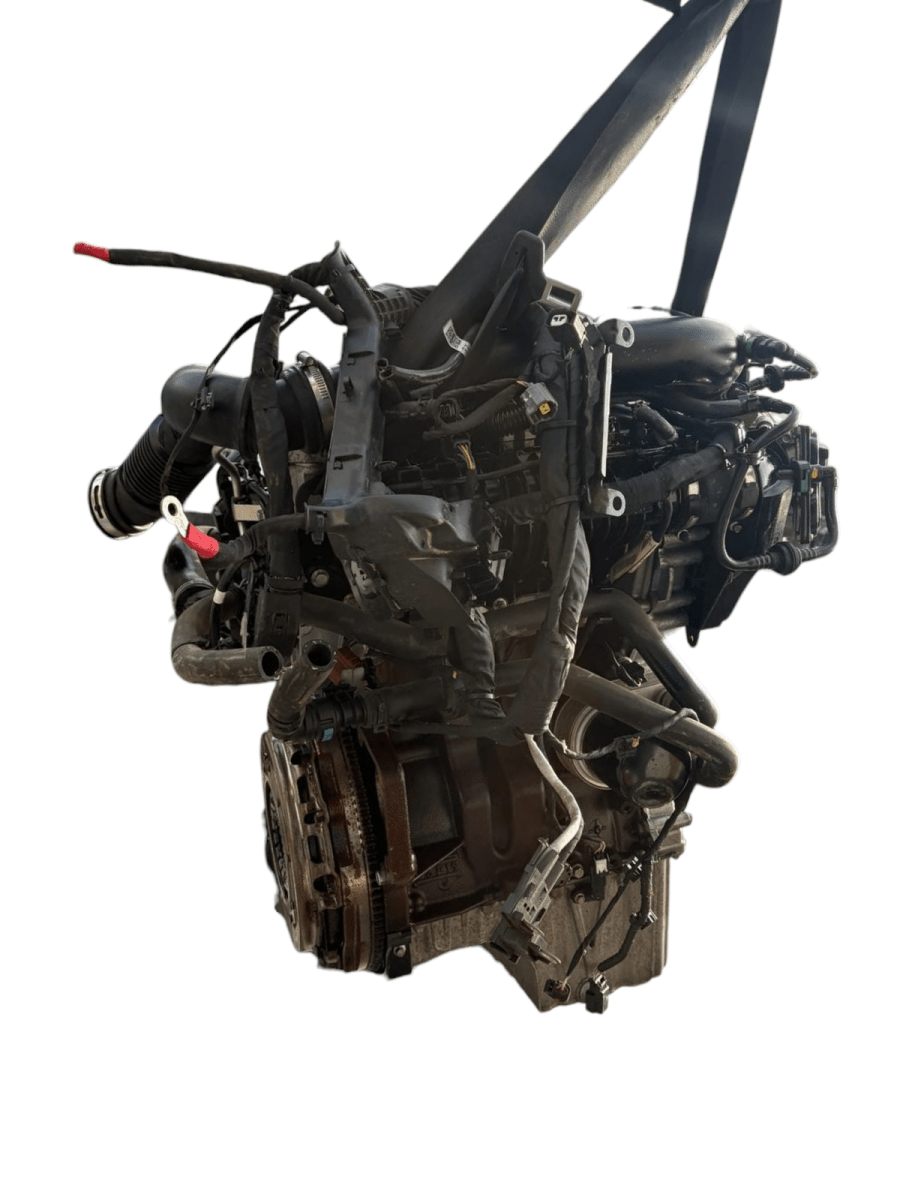 Motore Ford Fiesta VII 1.0 Benzina 73kw 100cv (2021) cod: SFJN - F&P CRASH SRL - Ricambi Usati