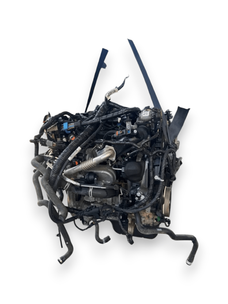 Motore Ford Focus ( 2018 ) 1.5 Diesel 70kw 95cv cod : XXDC - F&P CRASH SRLS - Ricambi Usati