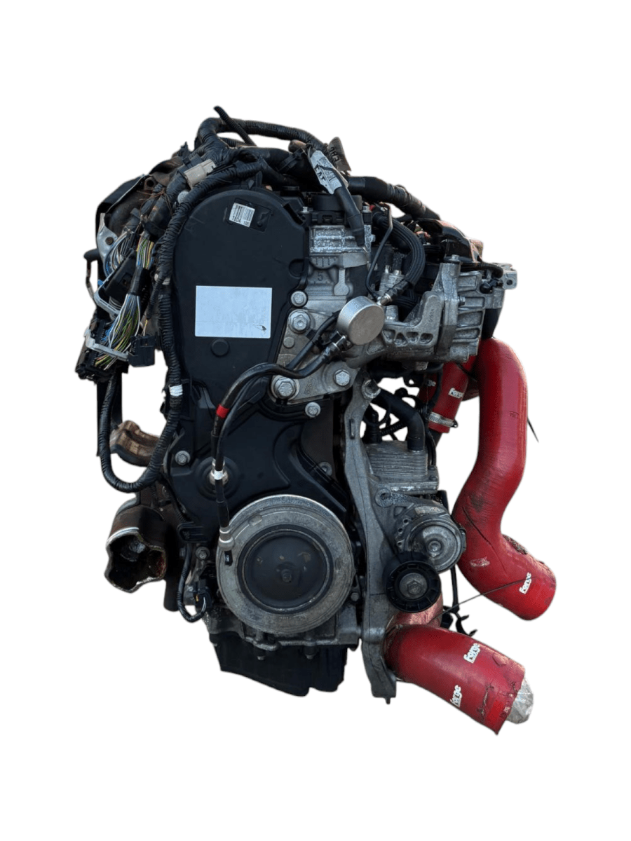 Motore Ford Focus III 2.0 Diesel 136kw 185cv cod: T8DA - F&P CRASH SRL - Ricambi Usati