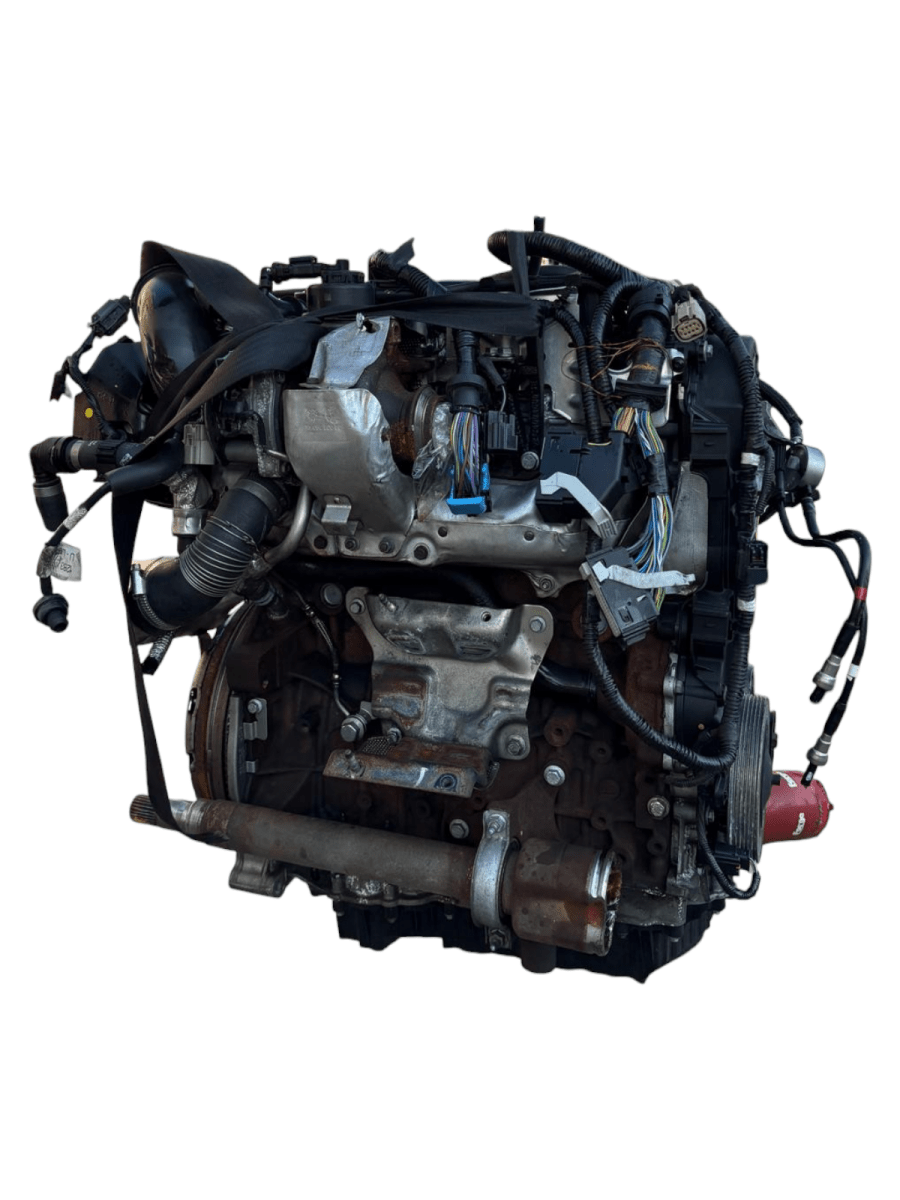 Motore Ford Focus III 2.0 Diesel 136kw 185cv cod: T8DA - F&P CRASH SRL - Ricambi Usati