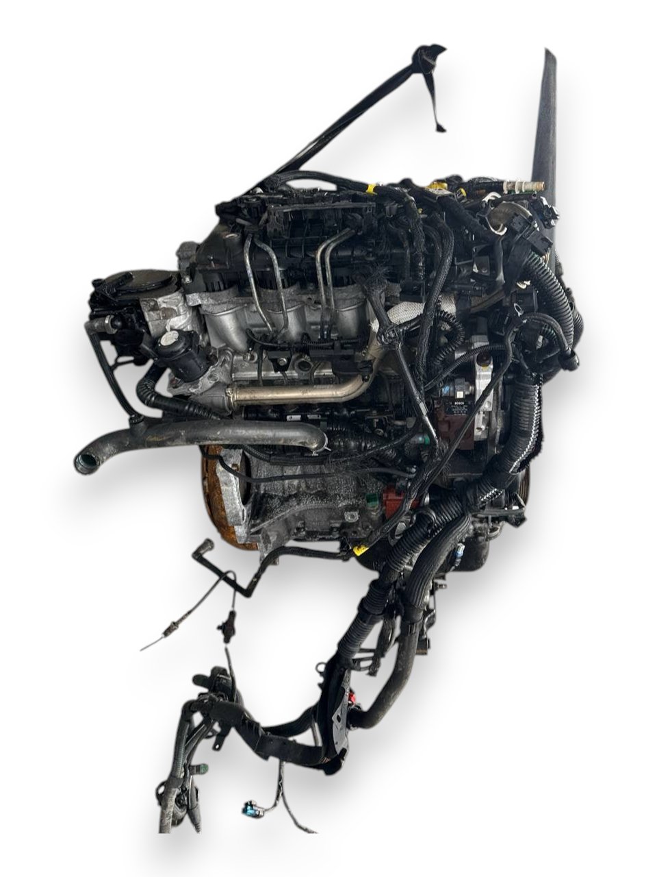 Motore Peugeot 308 1.6 HDI 80 kw / 109 cv ( 2009 ) bosch cod : 9HZ 129000km - F&P CRASH SRLS - Ricambi Usati