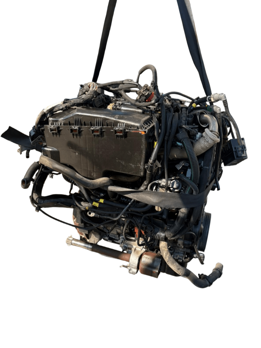 Motore Peugoet Partner 1.6 Diesel 75kw 90cv cod: 9hx - F&P CRASH SRL - Ricambi Usati