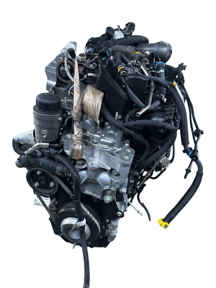 Motore Range Rover Evoque L551 (2020) 2.0 diesel - ibrido 120kw 163cv cod:204DTY - F&P CRASH SRL - Ricambi Usati