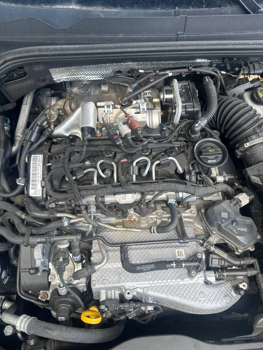 Motore Volkswagen Golf VIII ( 2022 ) 2.0 Diesel 110kw 150cv cod : DSR - F&P CRASH SRLS - Ricambi Usati