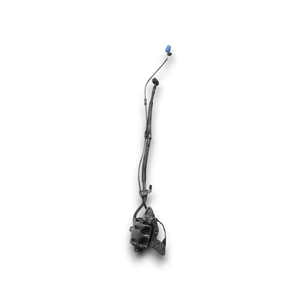 Pinza Freno Anteriore Honda Sh 125 (2013 > 2016) - F&P CRASH SRL - Ricambi Usati