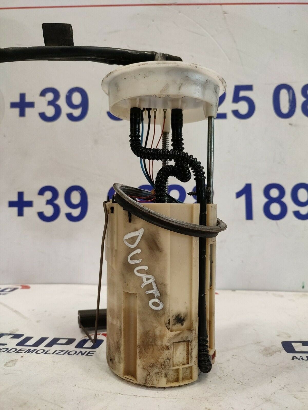 Fuel Pump Diesel / Gasoline / Diesel Lancia Thesis 2.4 0580303015 - F&P CRASH SRLS - Used Parts