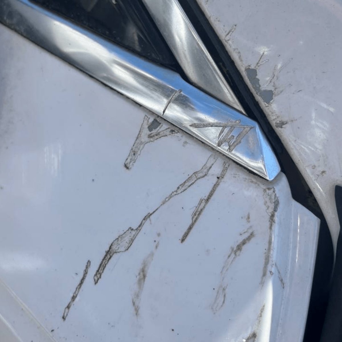 Porta / Portiera / Sportello anteriore destro (dx) Bianco Audi A4 B9 Avant (2015 al 2024) - F&P CRASH SRLS - Ricambi Usati