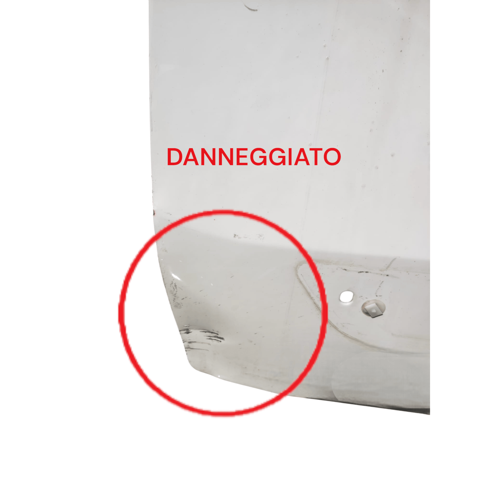 Portiera Anteriore Sinistra Bianca Fiat Qubo (2008 - 2019) - F&P CRASH SRLS - Ricambi Usati