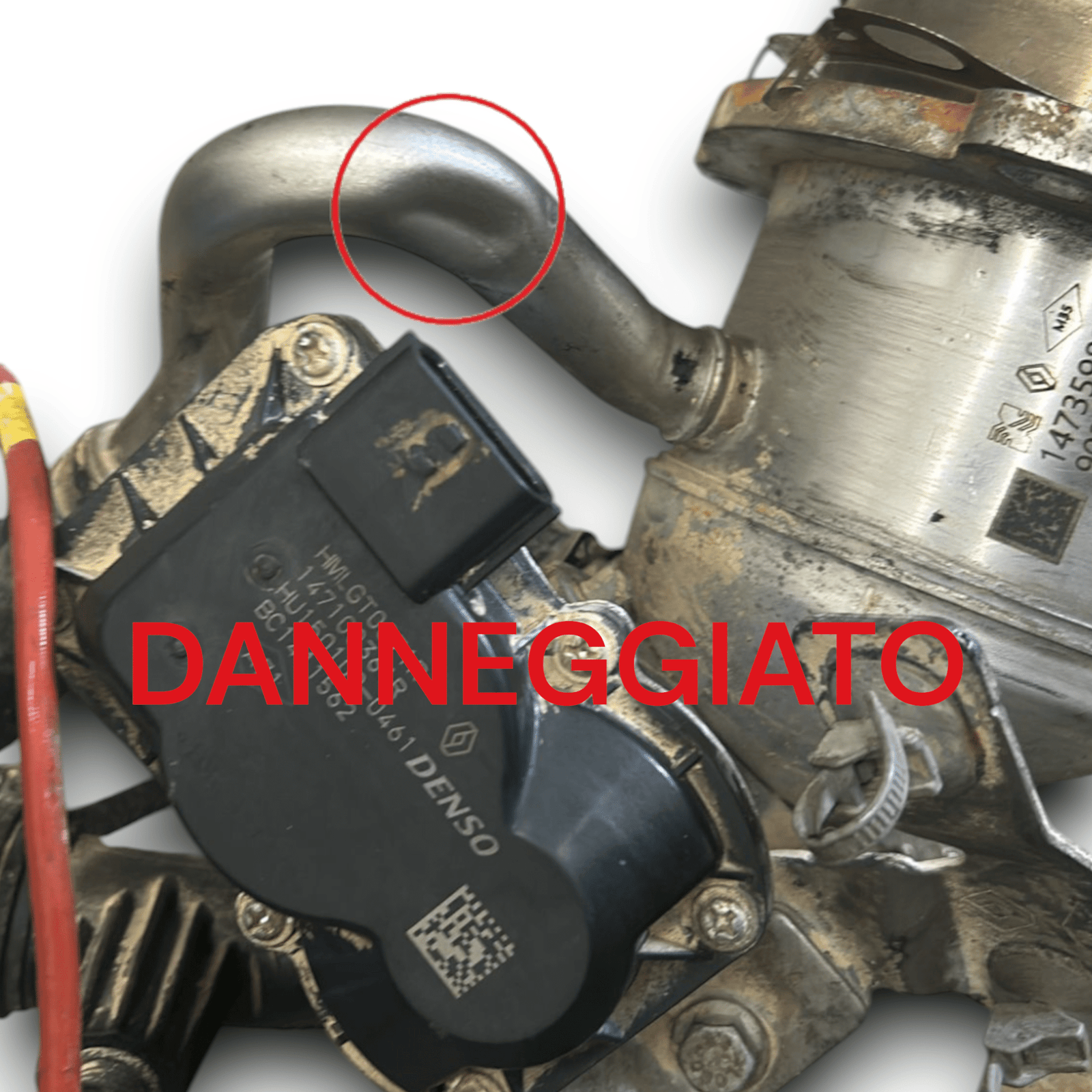 Radiator / EGR Valve Exhaust Gas Renault Clio V 1.5 Diesel cod:147359823R (2019 >) - F&P CRASH SRLS - Used Parts