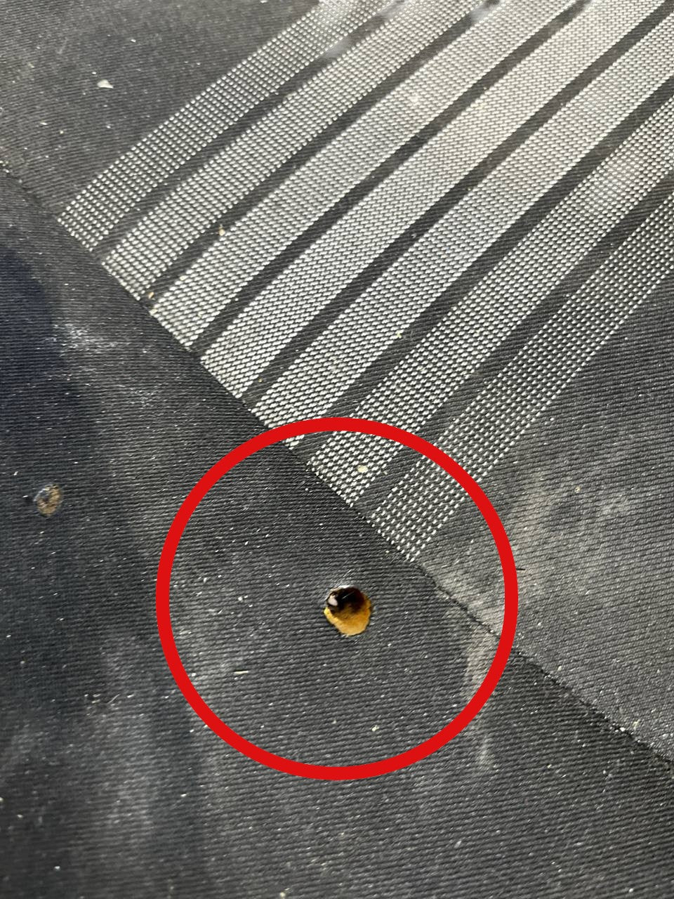 Tappezzeria / Sedili in stoffa Nera Dacia Sandero Stepway (2012 - 2020) - F&P CRASH SRLS - Ricambi Usati