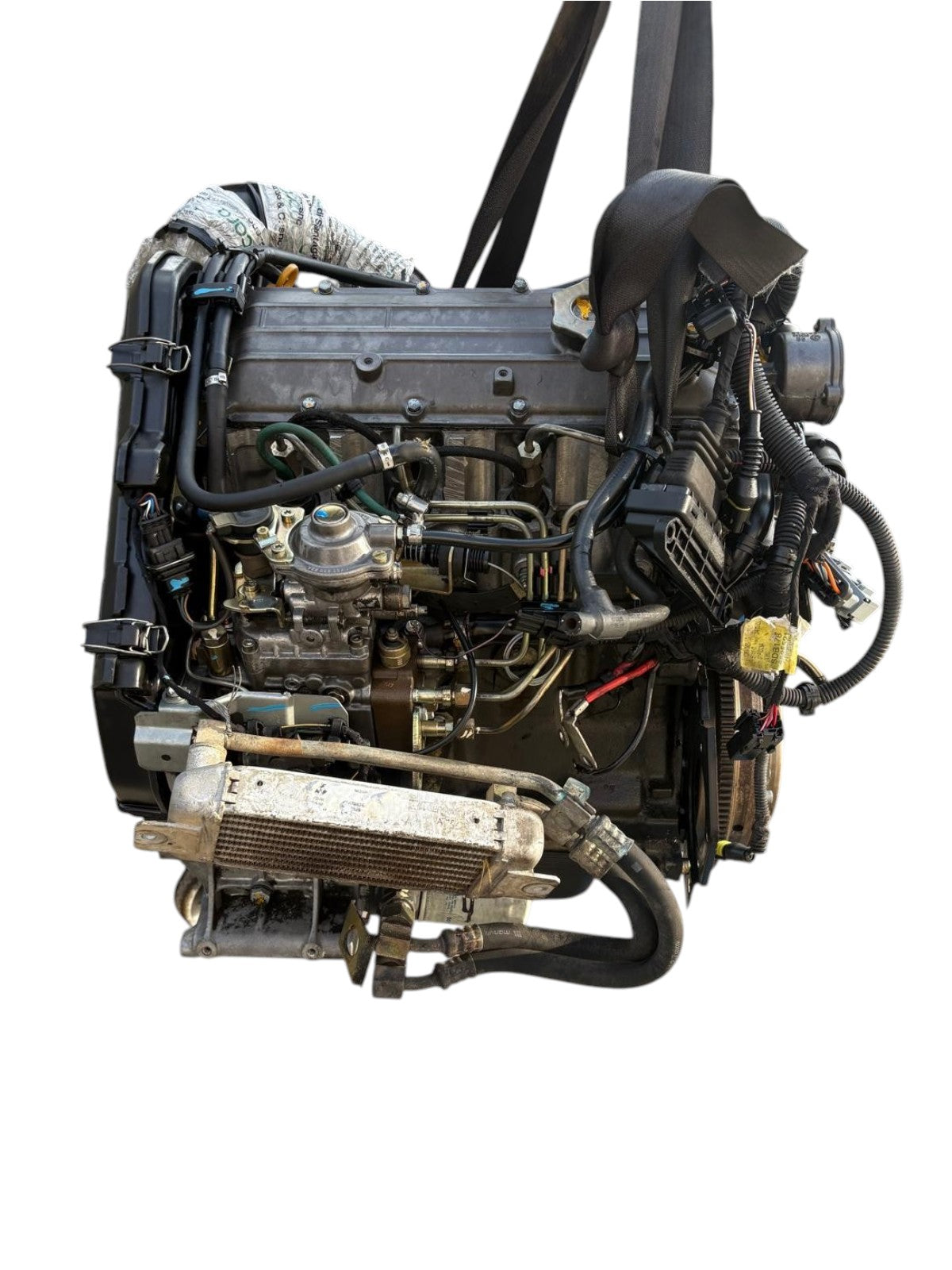 Fiat Palio 1.7 Diesel motor 51kw 69pk cod: 176a3000