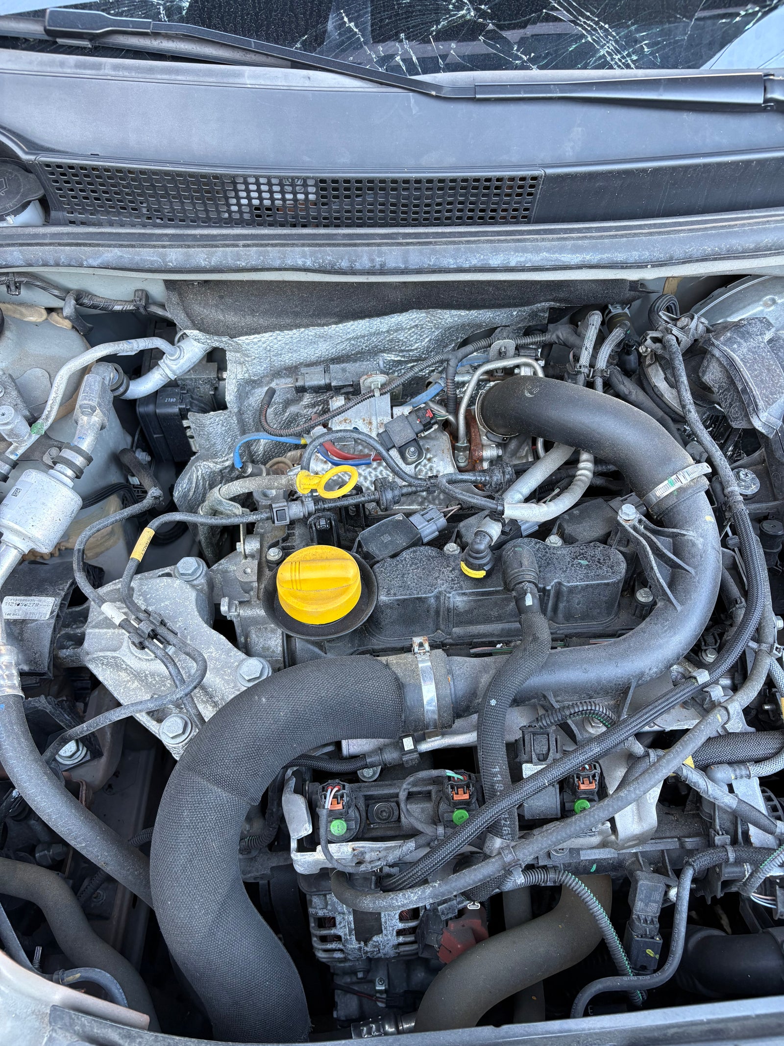 Sin título 25feb_21:14 