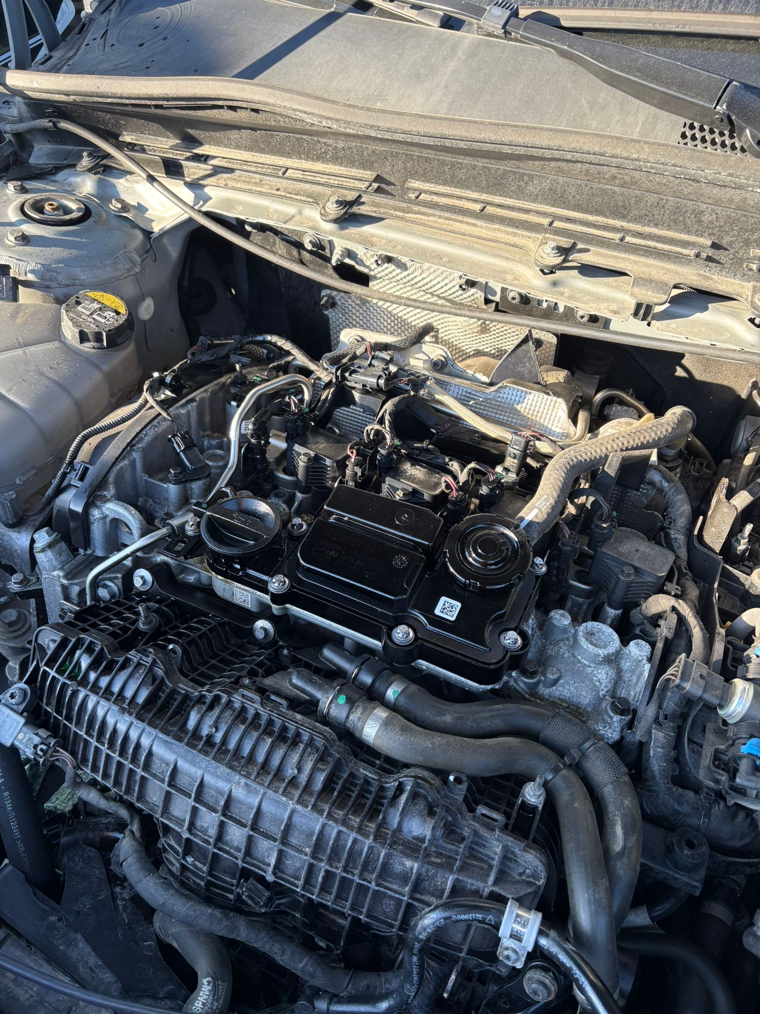 Sin título 25feb_21:35 