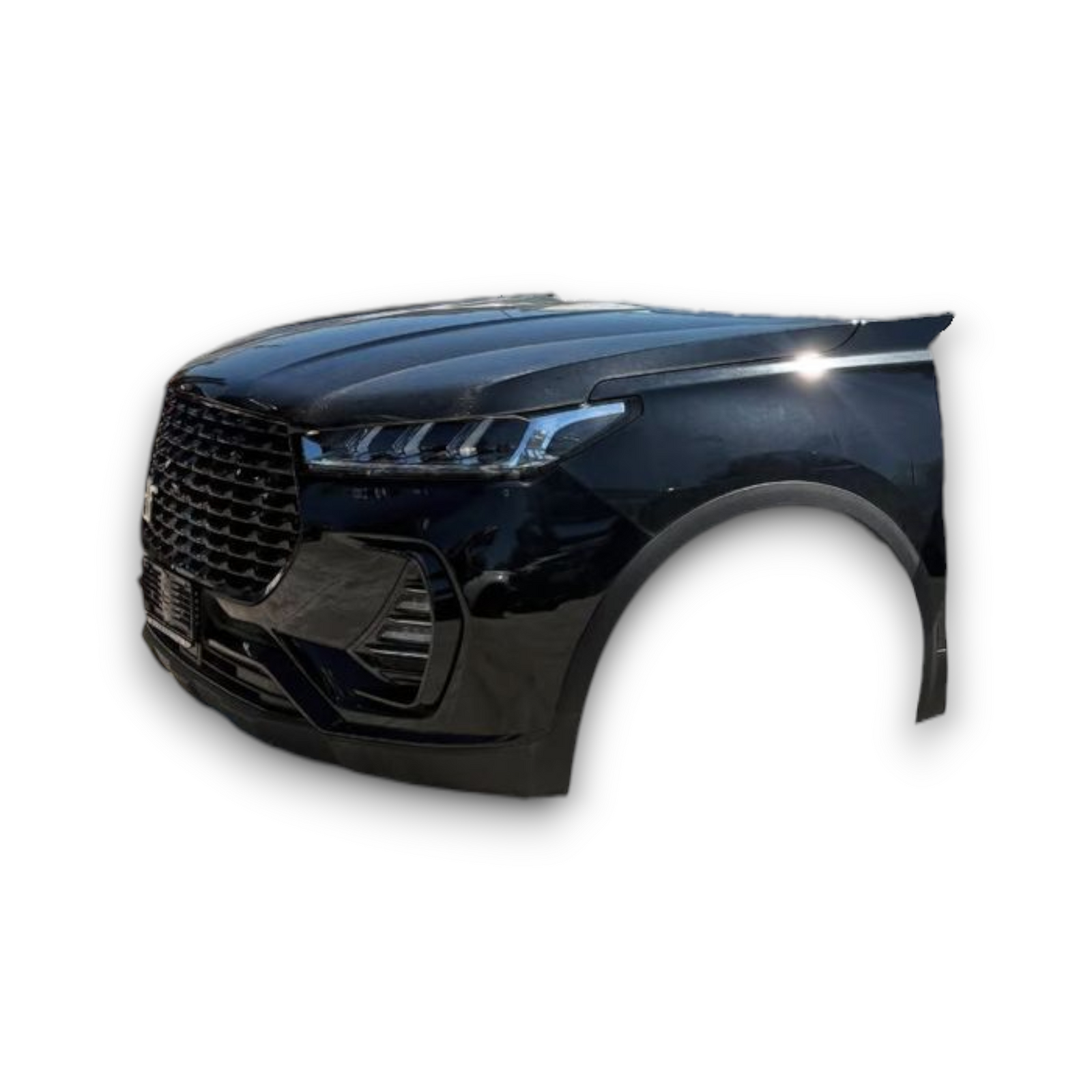 Musata + kit airbag dr 6.0 1.5 benzină / GPL (2022 >) 