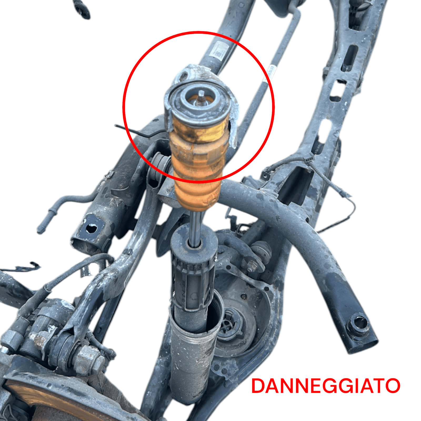 Assale / Ponte Posteriore (A Dischi) Volkswagen Golf 7.5 2.0 Diesel (2019 > ) - F&P CRASH SRLS - Ricambi Usati