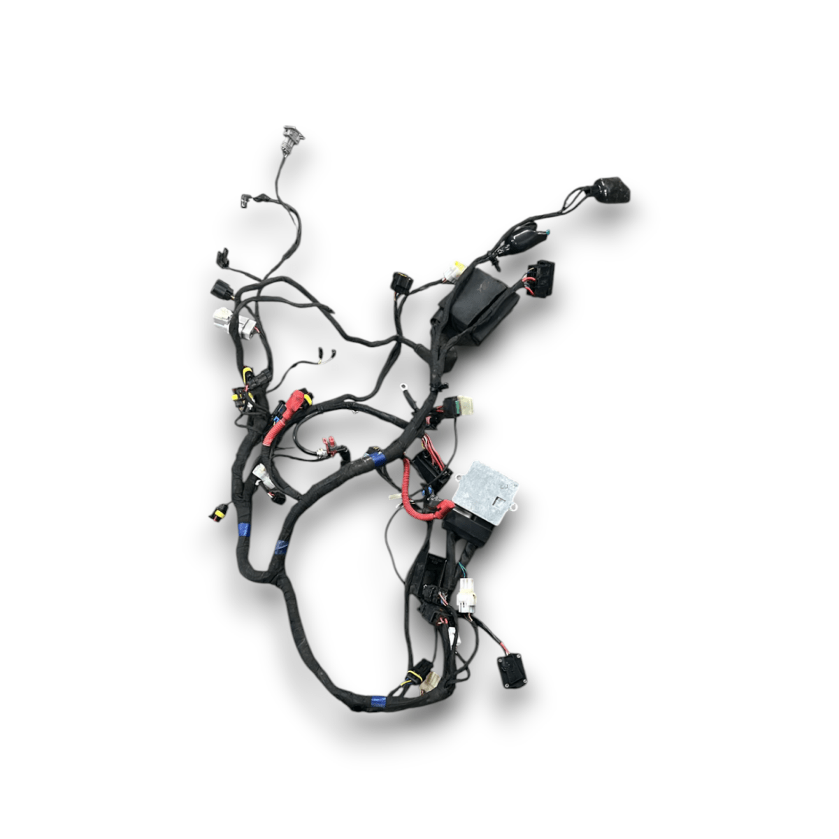 cablaggio motore benelli leonciono 250 (2021 > 2025) - F&P CRASH SRLS - Ricambi Usati