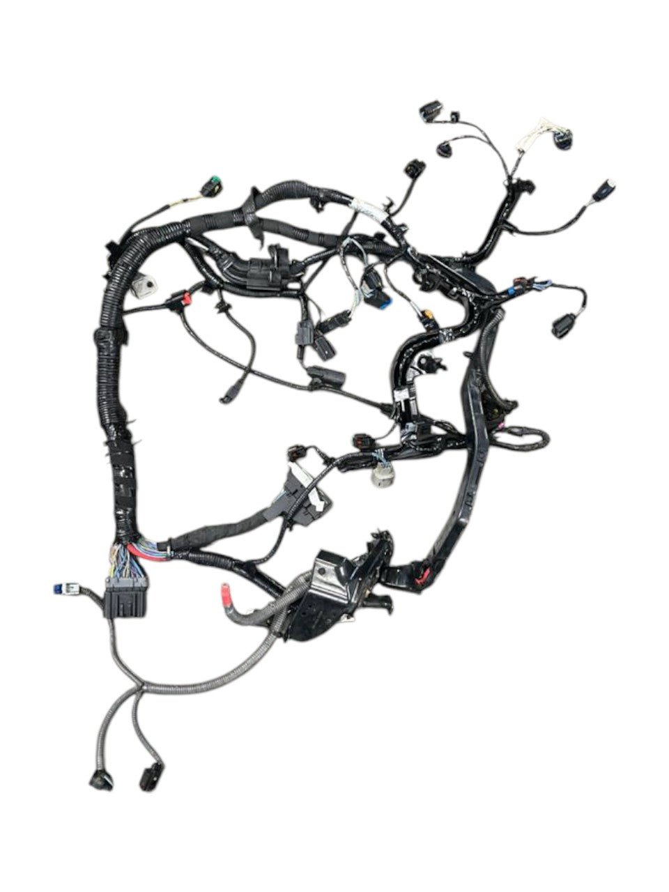 Cablaggio motore Ford Fiesta VI 1.5 diesel (2008 - 2017) cod.G1BT - 12A522 - F&P CRASH SRLS - Ricambi Usati