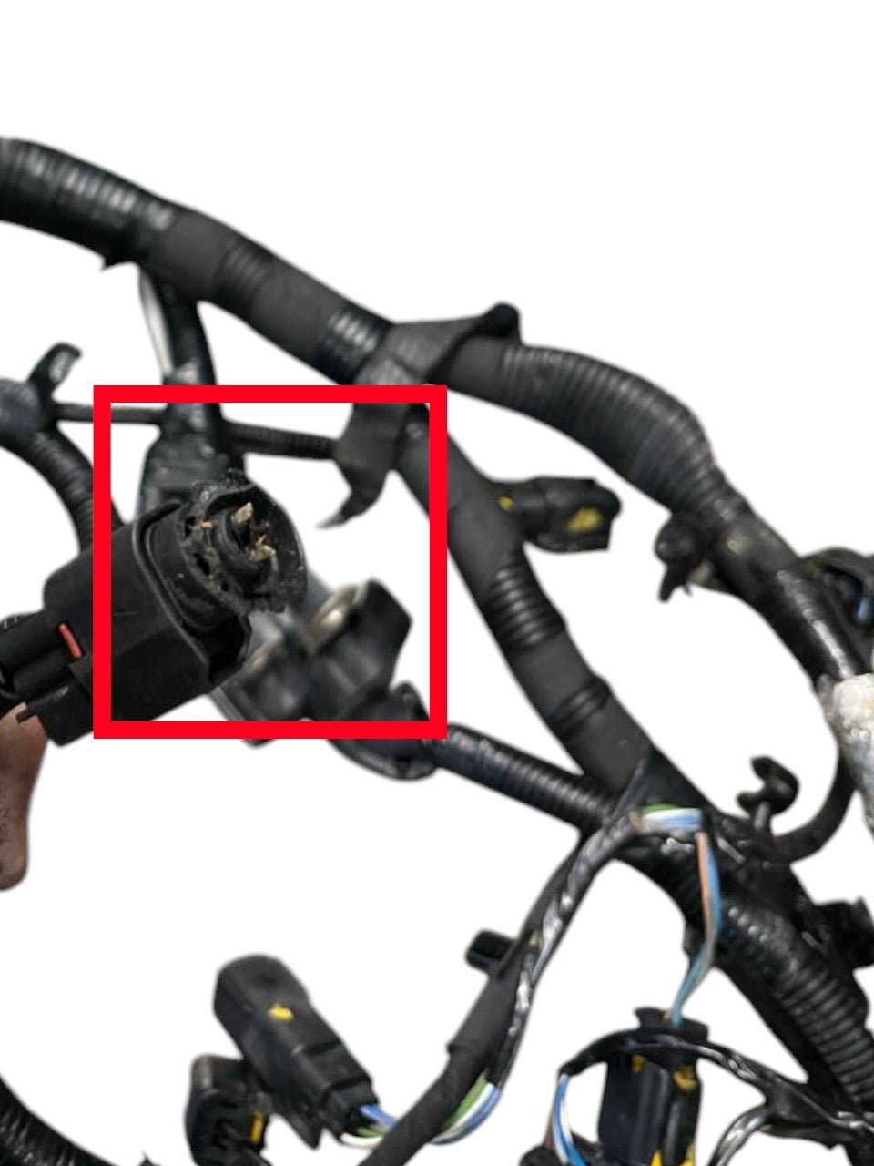 Cablaggio motore Ford Fiesta VI 1.5 diesel (2008 - 2017) cod.G1BT - 12A522 - F&P CRASH SRLS - Ricambi Usati