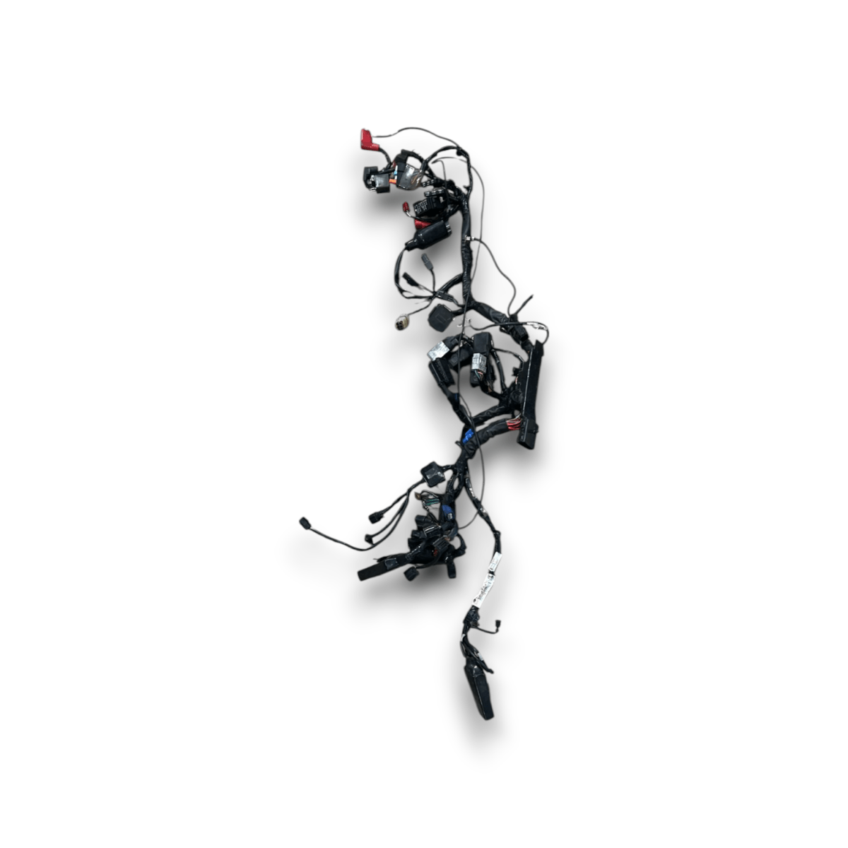 Cablaggio motore honda cbr 650 f abs (2013 > 2018) - F&P CRASH SRLS - Ricambi Usati