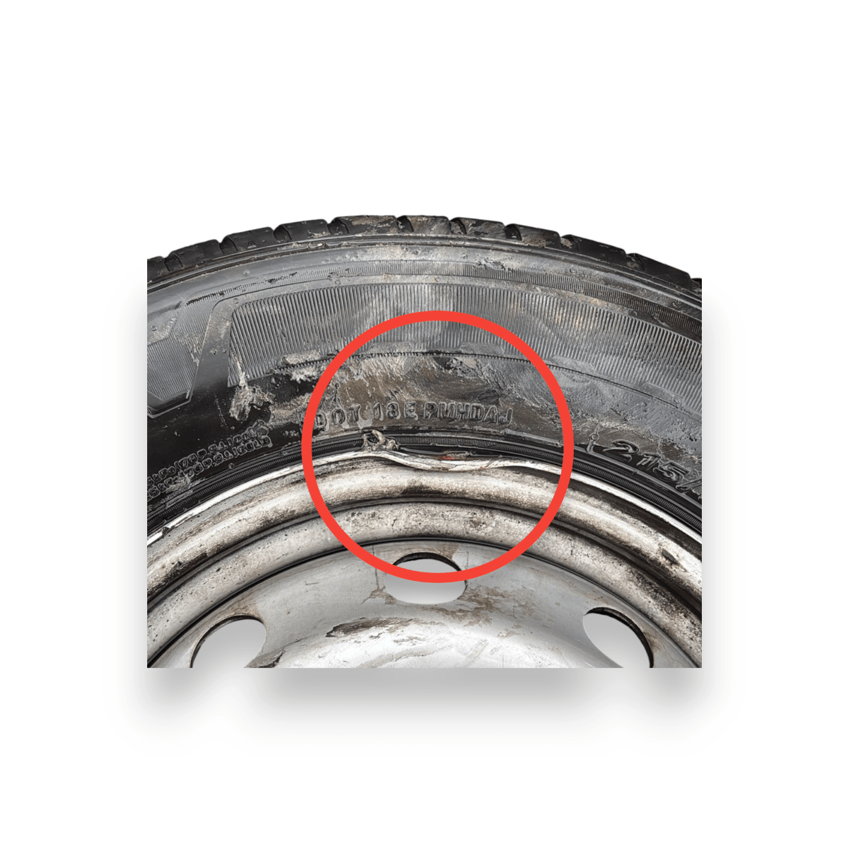 Cerchi in ferro fiat ducato (215/70/R15) (2021 - ) - F&P CRASH SRL - Ricambi Usati