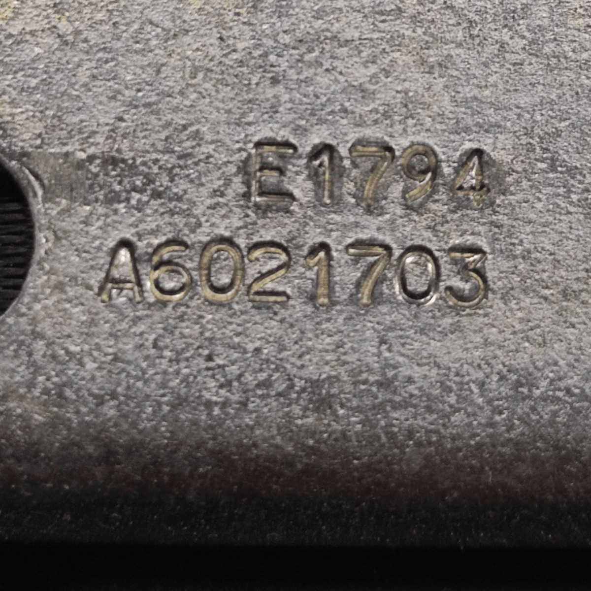 Cintura di Sicurezza Posteriore Centrale Dacia Dokker COD: A6021703 (2013 - 2021) - F&P CRASH SRLS - Ricambi Usati