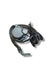 Cintura Di Sicurezza Posteriore Destra Volswagen Up ( 2012 > ) Cod : 1S0857806B - F&P CRASH SRLS - Ricambi Usati