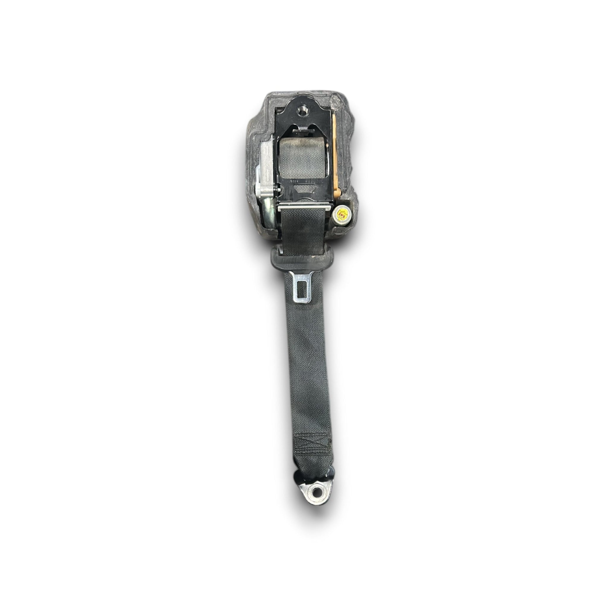Cintura Di Sicurezza Posteriore Sinistra Renault Kadjar cod.888419687R (2015 > 2022) - F&P CRASH SRLS - Ricambi Usati