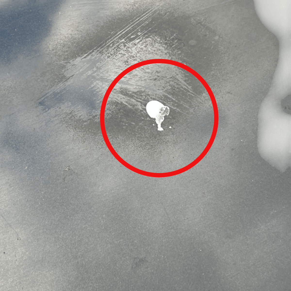 Cofano / portellone / bagagliaio posteriore Bmw E92 Coupé (2005 - 2013) - F&P CRASH SRLS - Ricambi Usati