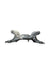 CULLA MOTORE LANCIA YPSILON 1.2 BENZINA (2003 - 2011) - F&P CRASH SRLS - Ricambi Usati