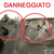 Fanale / Faro Alogeno Anteriore Destro Peugeot 208 I cod.9802221280 (2012 > 2019) - F&P CRASH SRLS - Ricambi Usati