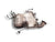 Fap Fiat 500X / Jeep renegade 1.6diesel (2014>) cod.52078962/ Catalizzatore / Filtro Antiparticolato - F&P CRASH SRLS - Ricambi Usati