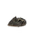 Faro / Fanale Alogeno Anteriore Destro Audi A4 B6 (200 > 2008) cod:89305705 - F&P CRASH SRLS - Ricambi Usati