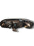 Faro fanale anteriore destro alogeno Opel Astra g (2004) COD:1eg00764032 - F&P CRASH SRLS - Ricambi Usati