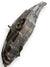 Faro Fanale Anteriore Sinistro Alogeno Ford Fiesta VI (2009) cod.8a6113w030af - F&P CRASH SRLS - Ricambi Usati
